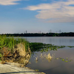 in Palm Harbor FL, NEW Subway Tile Backsplash, 2/BD