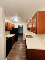 Spacious comfortable 1024 sqft, 2 bed, 1.5 bath only steps away campus