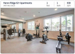 Bring Your Dreams to Life: Ideal Rentals Await!