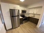 Beautiful Miami Condo 2 bed 1 bath