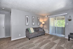 All Bills Paid! 1 Bedroom! New Paint! Gym! On Site Laundry! #2312