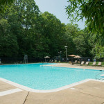 Lush landscaping, Situated in Lincolnia!, 1 Bed