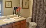 This is it! The ideal 1 bed 1 bath! Walking distance to the campus