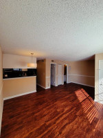 ¡$500 de descuento en el primer mes completo! ¡Pregúntanos cómo!?