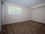 Wood Flooring, BBQ and Picnic Area (coming soon)