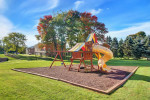Fetch the Best Deal! Pet Friendly Apartments Here!
