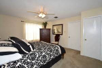 Come Visit City Heights Steeplechase!