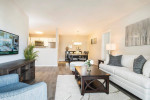 Luxury Apartment Homes and Townhomes!