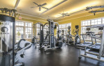 Luxury Apartment Homes and Townhomes!