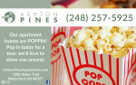 Amazing specials happening this week!