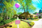 Just right for you! 2 bed, 2 bath. Amazing location in Austell