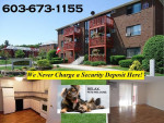 1 Bedroom deluxe with walk in closet!