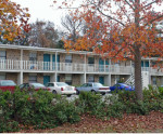 Newly Renovated 1 Bed/ 1 Bath Apartments!