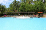 Amazing 3 Bed, 2 Bath with public transit access! 1385 Sq Ft!