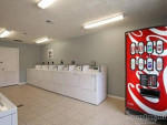 Walk In Closets, Pool, Picnic Area