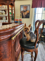 WE LOVE SMALL PETS!  FOUR SEASONS INN-BRANSON!!!