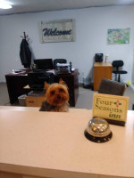 WE LOVE SMALL PETS!  FOUR SEASONS INN-BRANSON!!!