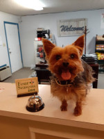 WE LOVE SMALL PETS!  FOUR SEASONS INN-BRANSON!!!
