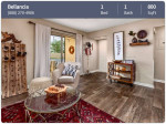Amazing 1 bedroom, 1 bathroom in Orlando. 800 SqFt!