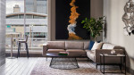 Homesharing, Community Events, Rooftop or Observatory Deck