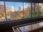Studio floorplans available at 1500 Arlington