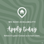 Pet Friendly Apartment Homes in Waterford 2 bed 2 bath