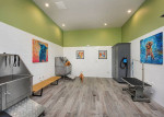 Washer & Dryer In Unit, Hardwood-Styled Floors Throughout, Dog Spa