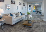 Minutes Away From Clearwater Beach, Dog Park, Upgraded Appliances