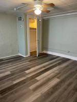 Grant Park basement apartment 1/1