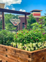 Explore on Wheels with Free Bike Rentals