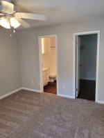 Willow Tree Move In Special