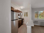 1/BD 1/BA, Courtyard, Gas Range