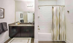 Luxury Apartments Pool, Gym and More