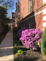 Amazing Two Bedroom Apartments @914 Crain
