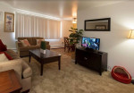 Bark Park, Late Fee Forgiveness, Dining Room