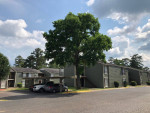 Newly renovated studio! $99 deposit!