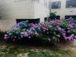 Bright, Beautiful 420 sq ft Studio in Washington now showing!