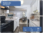 Welcome to your new 1 bed, 1 bath! Washer & dryer in unit!