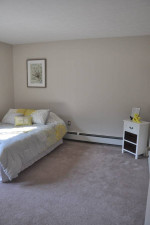 Pet Friendly, Window Coverings, Renovated Apartments