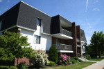 Pet Friendly, Window Coverings, Renovated Apartments