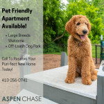 Pet Friendly, Newly Renovated, Move-In Ready 1BDR