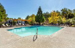 Looking for the ideal 2 bed / 2 bath? Check out community!