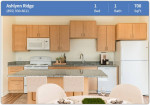 Spacious and beautiful. Consider your new 1 bed / 1 bath found!