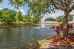 A home for everyone - even your pets! Pet friendly 2 bed / 2 bath!