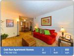 Charming 2 bed / 1 bath with great character! 950 Sq Feet