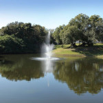 Off-leash Dog Park, Pet groomers just minutes away