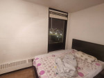 summer 1B1B apartment sublease