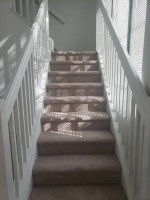 Gorgeous and spacious 1168 sq ft lofts available now
