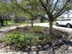 2 Story Farmhouse on Acre- Available 6/1/24