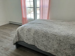 single room for rent (read description)